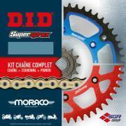 Zestaw łańcuchów motocyklowych D.I.D Ducati 600 Monster/Dark 95-98